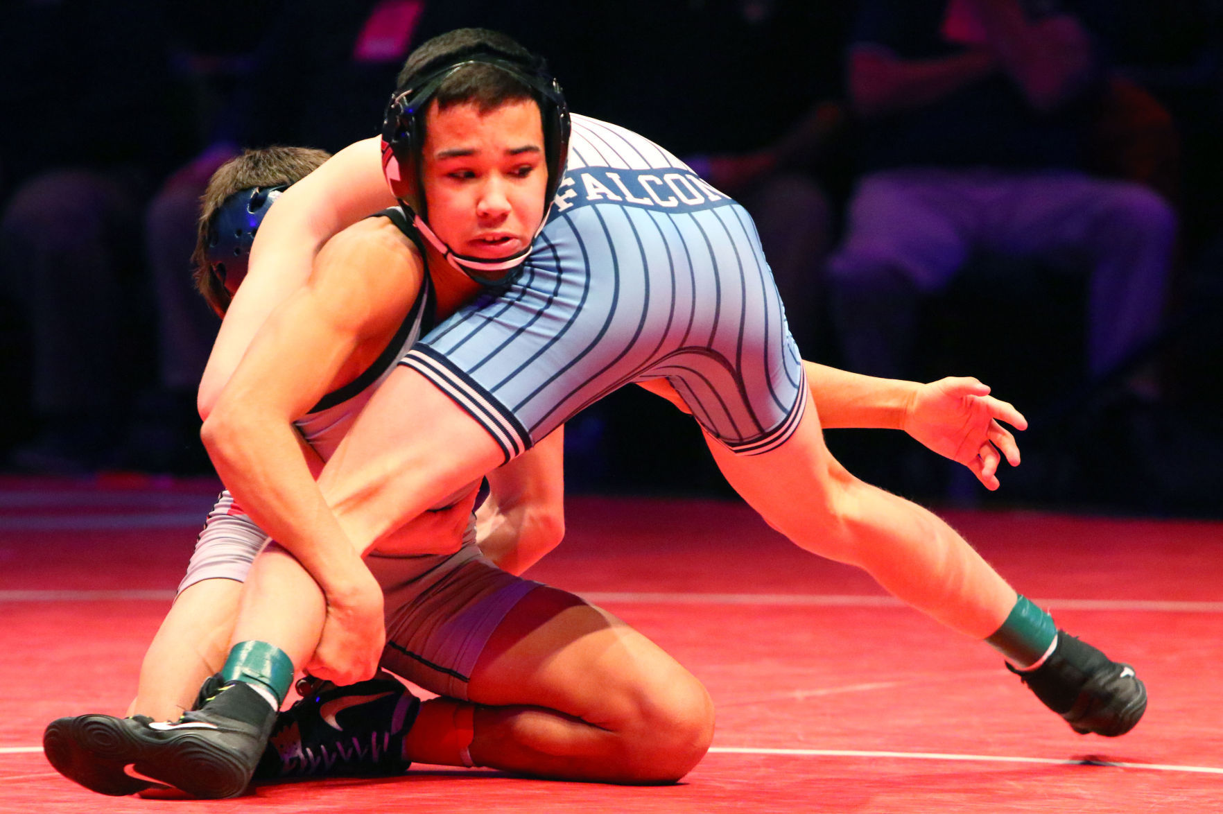 Wrestling State Finals